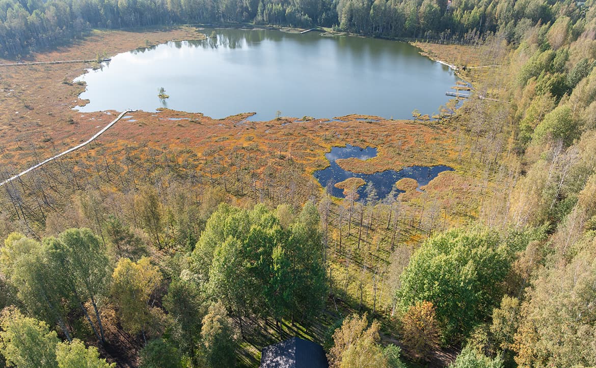 ЖК «Коттеджный поселок LAKE VIEW» — фото 3