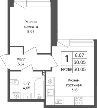 Планировка: 1-комнатная квартира 30,1 м² в ЖК «Капральский берег»