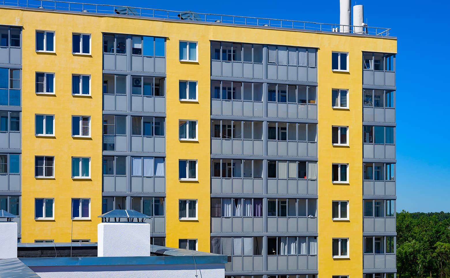 Ново-Антропшино — фото 4