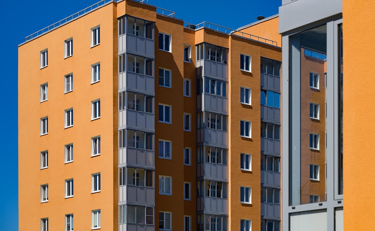 Ново-Антропшино — фото 22