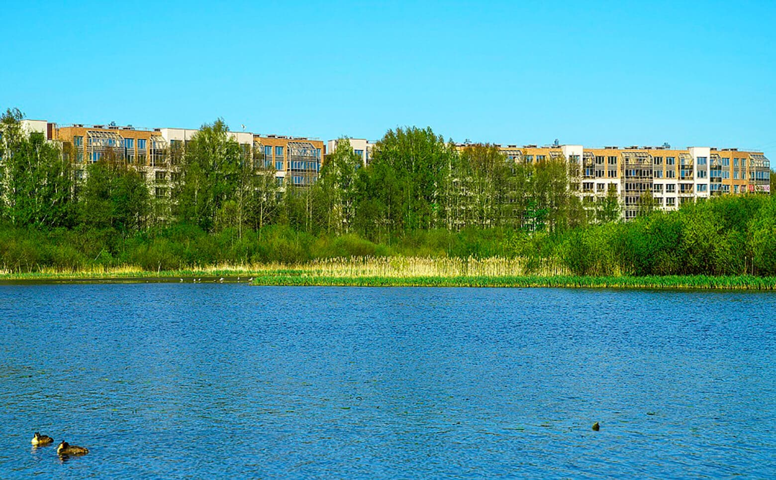 ЖК «БФА в Озерках» — фото 3